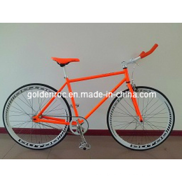 Fixed Gear Bike